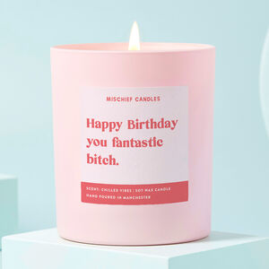 Funny Gift Pink Candle Happy Birthday You Fantastic Bitch