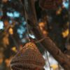Solar Jute LED Fairy Lights Maro, 800 cm