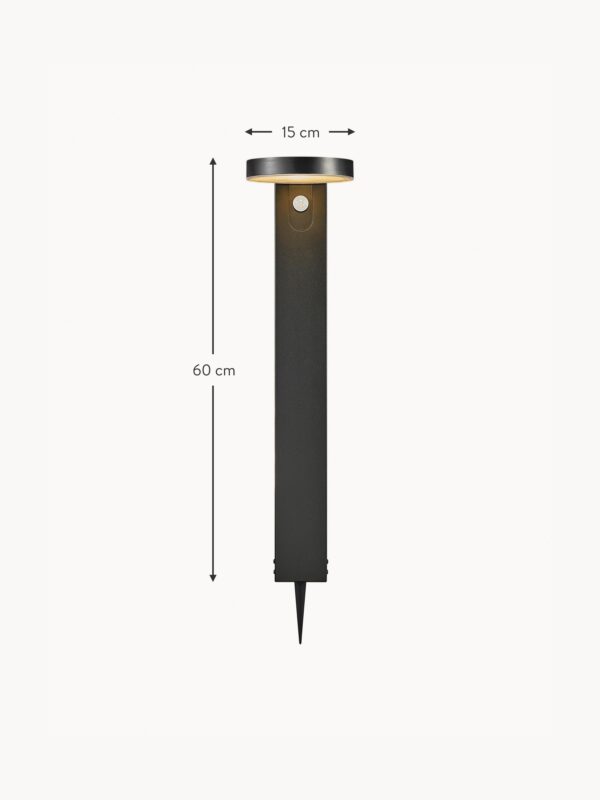 Solar Pathway Light Rica with Motion Sensor