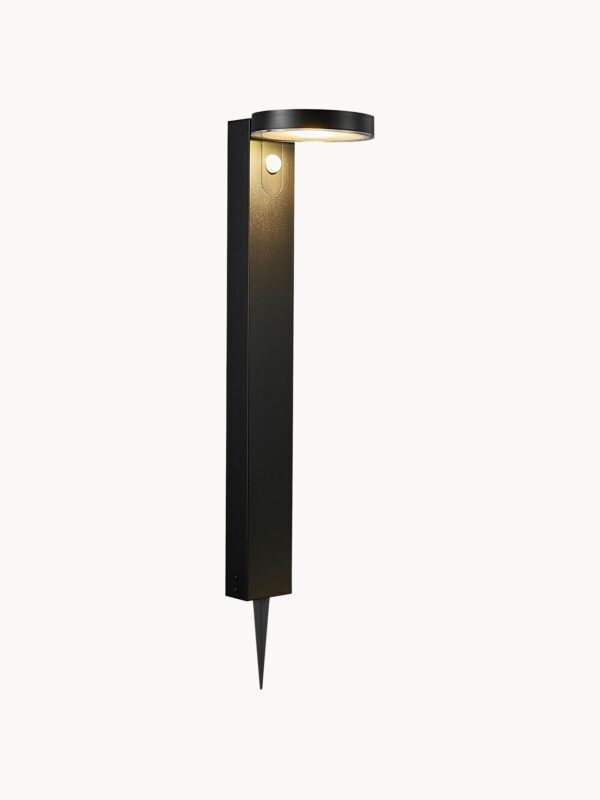 Solar Pathway Light Rica with Motion Sensor
