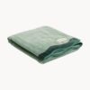 Beach Towel Palm