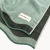Beach Towel Palm