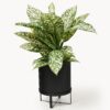 Flower Pot Bau with Ribbed Surface, H 38 cm