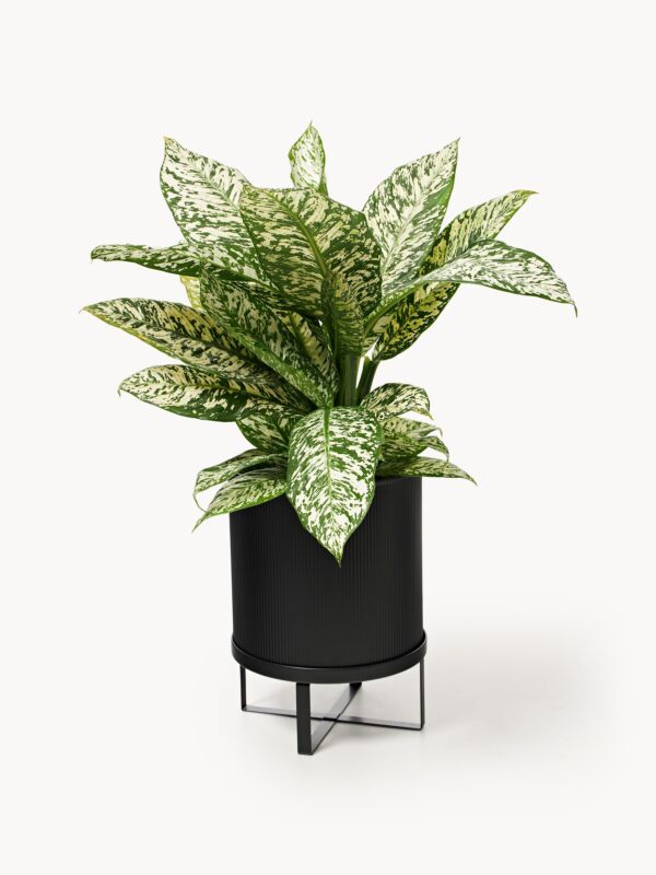 Flower Pot Bau with Ribbed Surface, H 38 cm