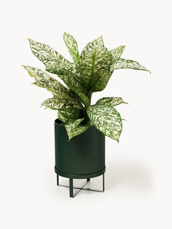 Flower Pot Bau with Ribbed Surface, H 38 cm