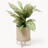 Flower Pot Bau with Ribbed Surface, H 38 cm