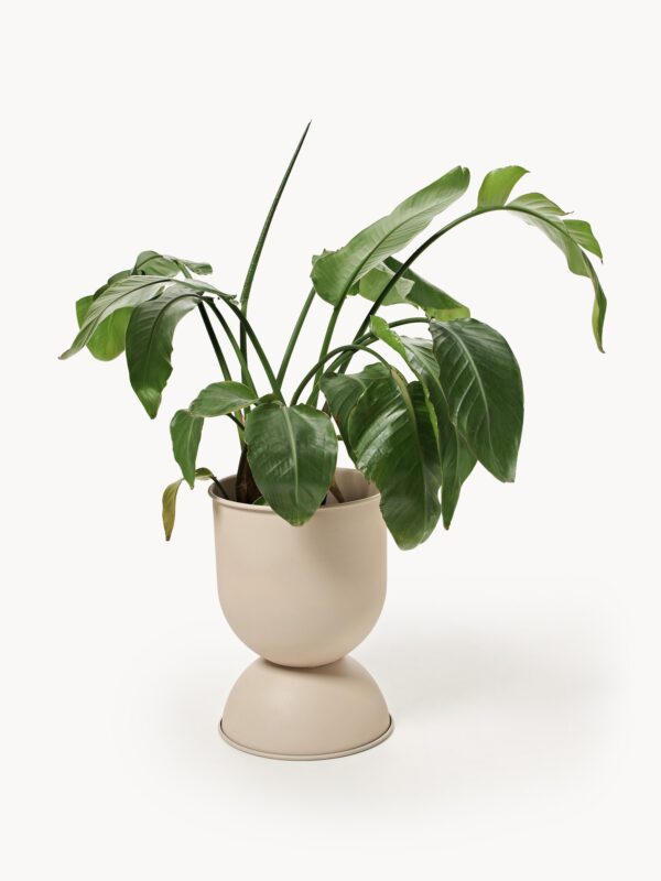 Flower Pot Hourglass, H 43 cm