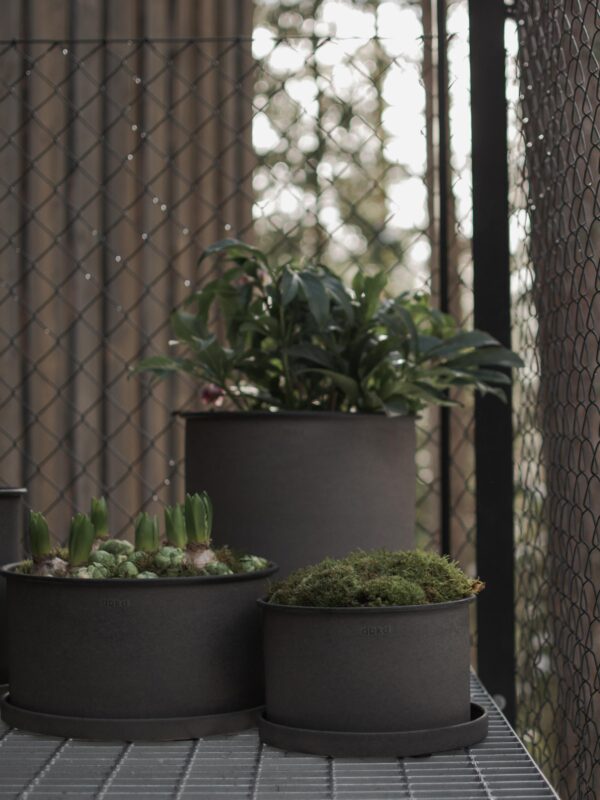 Flower Pots Plant, Set of 2