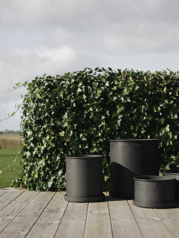 Flower Pots Plant, Set of 2