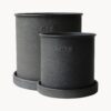 Flower Pots Plant, Set of 2