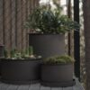 Flower Pots Plant, Set of 2