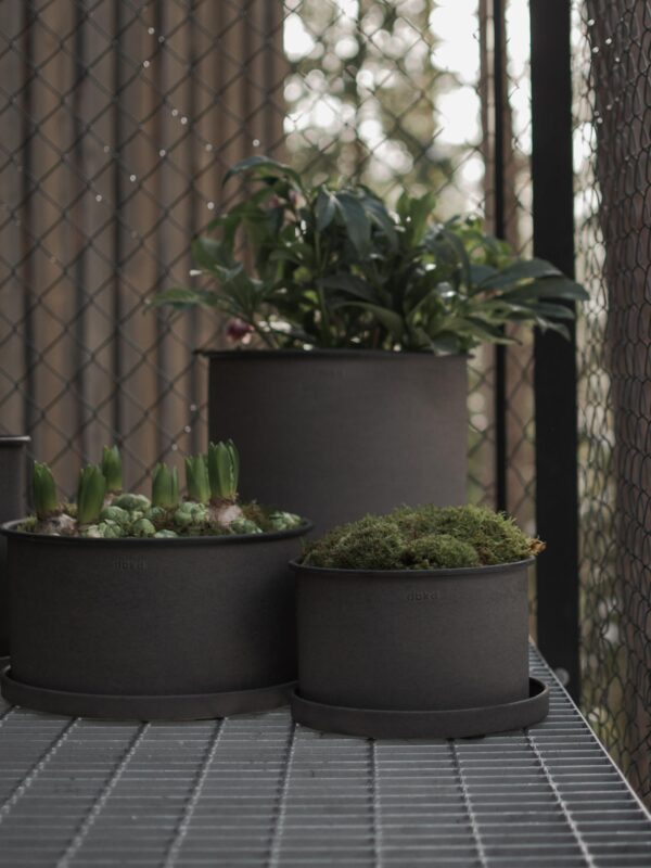 Flower Pots Plant, Set of 2