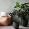 Large Outdoor Plant Pots Vig, Set of 2
