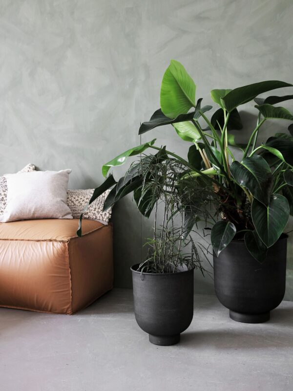 Large Outdoor Plant Pots Vig, Set of 2