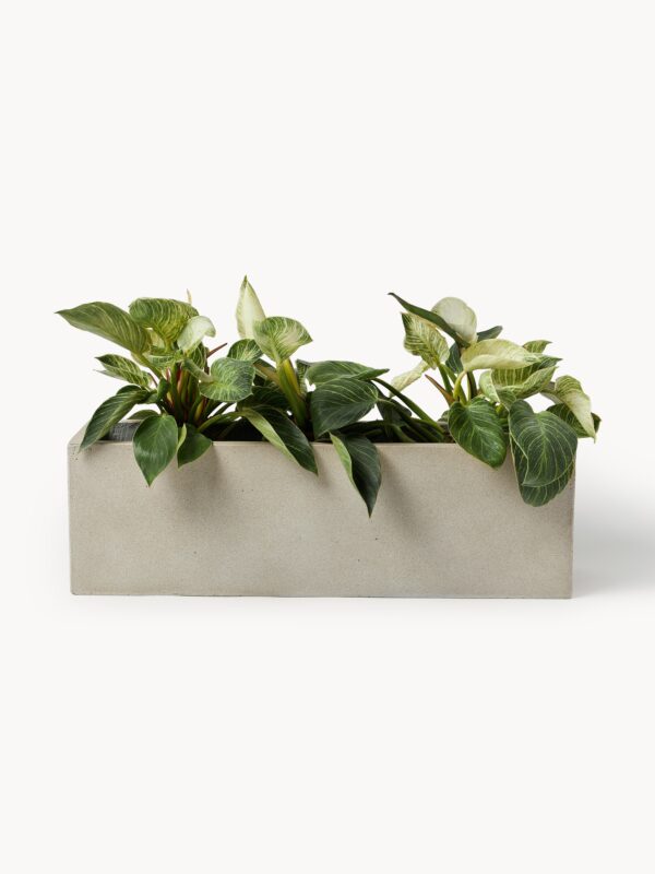 Outdoor Concrete Planter Tuscany, H 19 cm