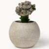 Outdoor Concrete Planter Tuscany, H 21 cm
