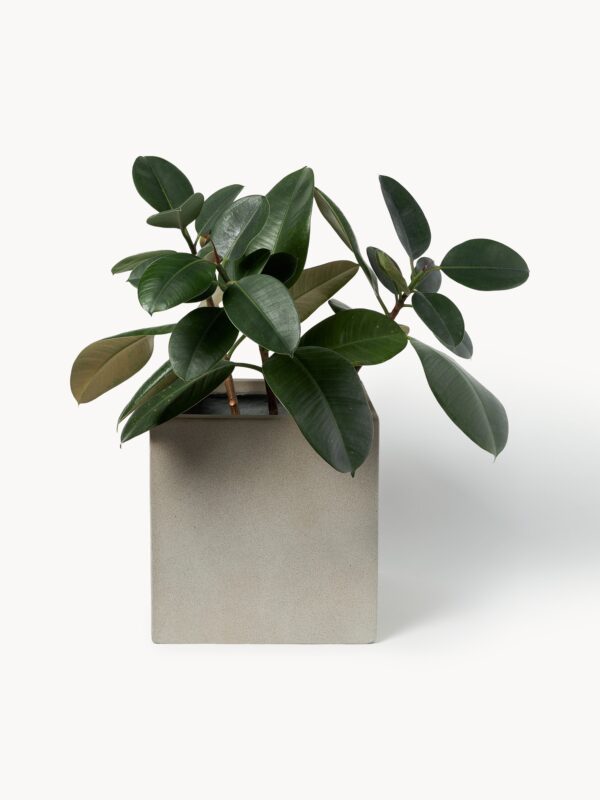 Outdoor Concrete Planter Tuscany, H 30 cm