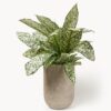 Outdoor Concrete Planter Tuscany, H 40 cm