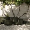 Outdoor Flower Pots Out, Set of 2 Outdoor Flower Pots Out, Set of 2