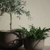 Outdoor Flower Pots Out, Set of 2