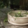 Outdoor Terracotta Flower Pot Terra, H 11 cm Outdoor Terracotta Flower Pot Terra, H 11 cm