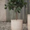 Outdoor Terracotta Flower Pot Terra, H 26 cm Outdoor Terracotta Flower Pot Terra, H 26 cm