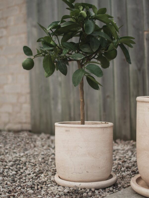 Outdoor Terracotta Flower Pot Terra, H 26 cm Outdoor Terracotta Flower Pot Terra, H 26 cm