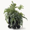 Planter Olea, H 26 cm