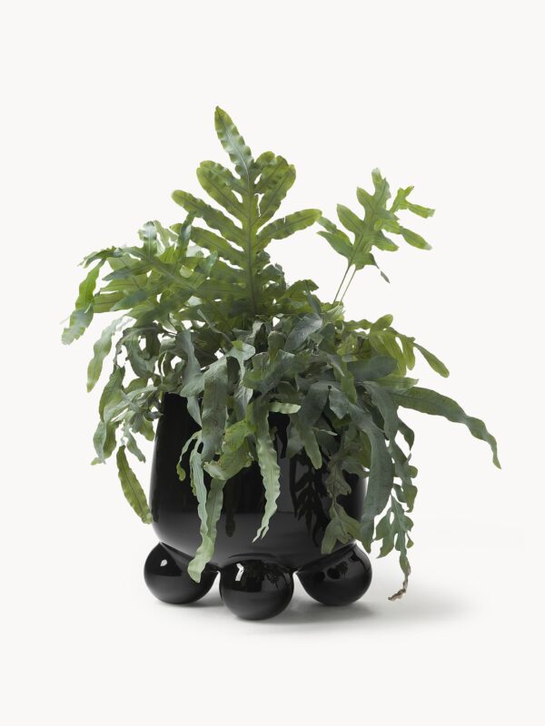 Planter Olea, H 26 cm