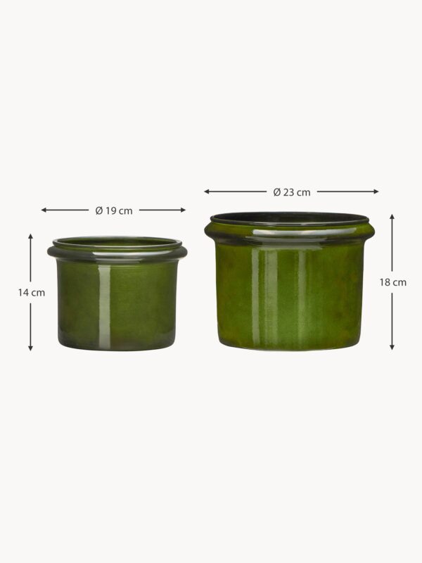 Planters Hoop, Set of 2