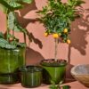 Planters Hoop, Set of 2